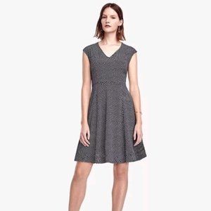 🌟 Ann Taylor Navy/White Polka dot fit & flare 0